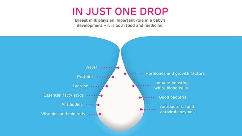 Just One Drop breastfeeding illustration