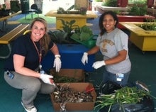 CHOP staff plant vegetables in the Sea Garden at Children's Seashore House.