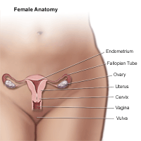 Abnormal Vaginal Discharge (Vaginitis)