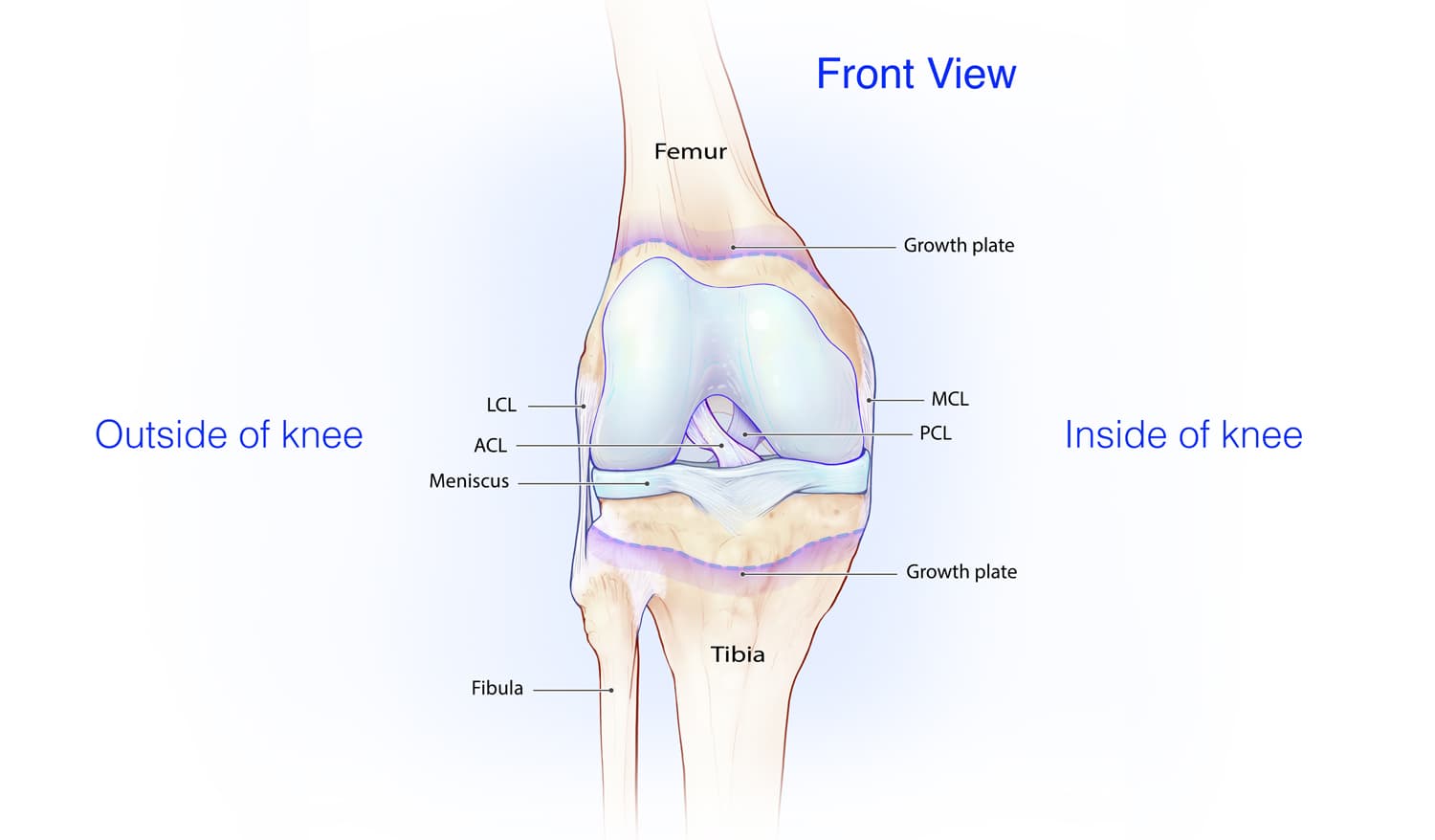 Medial Collateral Ligament (MCL) Injuries (for Teens)