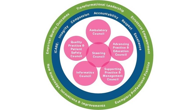 Everyday Excellence A Framework for Professional Nursing Practice in