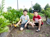 Children in an outdoor vegetable garden.