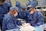 Surgeons Performing Hand Transplant Surgery