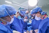 Physicians performing surgery