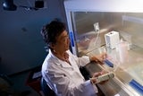 Lab technician working with smaples under protective hood