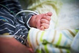 Closeup of an infant's hand