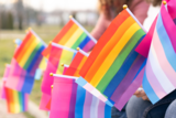 LGBTQIA+ and transgender pride flags on display