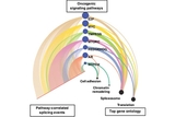 New Computational Tools Identify Alternative Splicing Changes in Aggressive Cancers