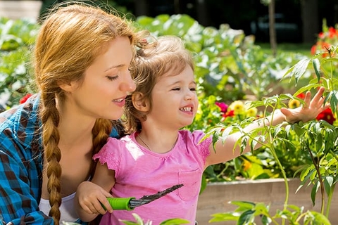 Know the Plants in Your Garden — For Your Child’s Safety | Children's ...