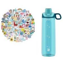 Pogo Water Bottle with stickers
