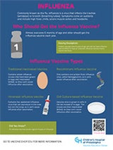 Influenza inforgraphic thumbnail 