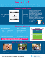 Hepatitis B infographic