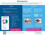 Meningococcus infographic