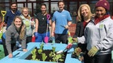 CHOP Garden/Pennsylvania Horticultural Society Partnership