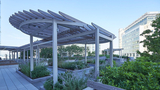 Buerger Center Green Roof