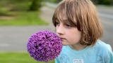 Gabo outside smelling a flower