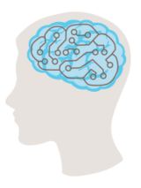 Illustration of healthy brain