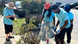 image-Millbourne-Cleanup-News-Item-780x439-2.jpg