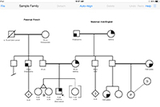 Image of iPad Pedigree