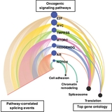 New Computational Tools Identify Alternative Splicing Changes in Aggressive Cancers