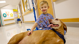 boy petting dog