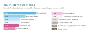 Youth Needs Chart