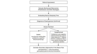 Approach to gastroparesis boxes diagram