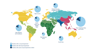 ROP Blindness in Developing Countries