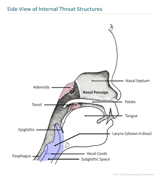 side view of internal throat structure