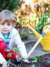 Young boy in garden