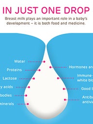 Just One Drop breastfeeding illustration