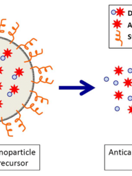 Nanoparticles vs Neuroblastoma