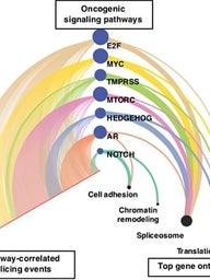 New Computational Tools Identify Alternative Splicing Changes in Aggressive Cancers