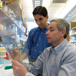 Dr. Maris in lab