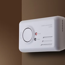 Carbon monoxide detector