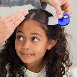 Young girl getting hair combed for lice test