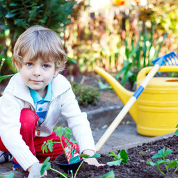 Young boy in garden