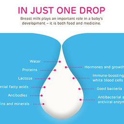 Just One Drop breastfeeding illustration