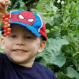 Lucas picking berries