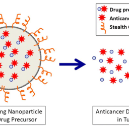 Nanoparticles vs Neuroblastoma