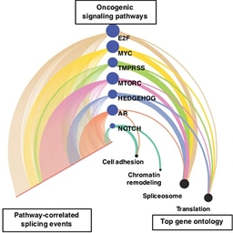 New Computational Tools Identify Alternative Splicing Changes in Aggressive Cancers