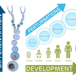 Pediatric Cell Atlas (PCA) illustration