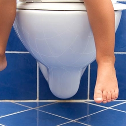 Toilet Training Children and Adolescents with Down Syndrome