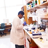 Lab technician working at bench table