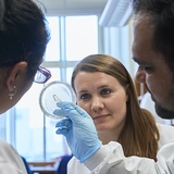 Researchers looking at petri dish